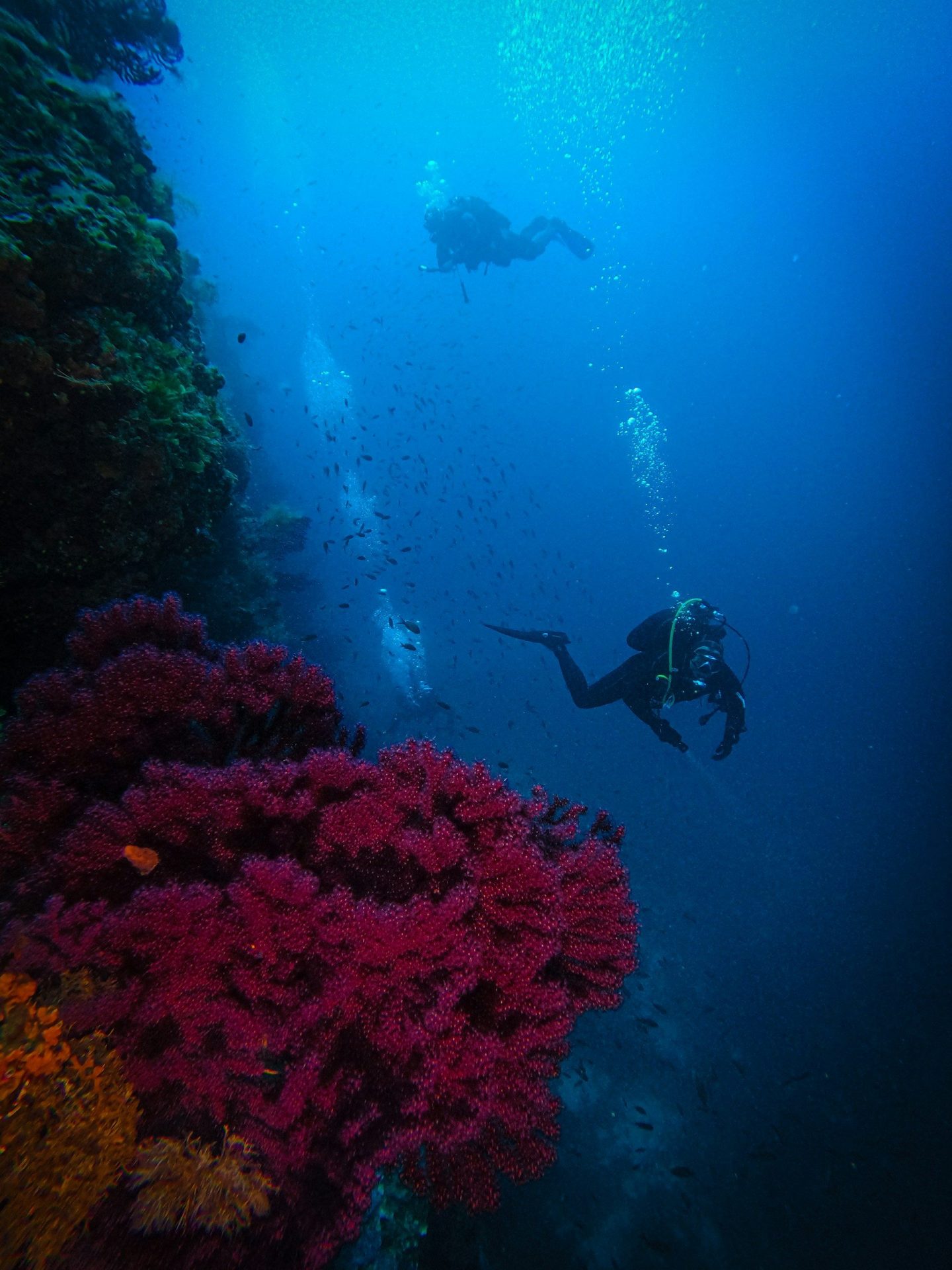 Scuba Diving in Andaman – Havelock Island
